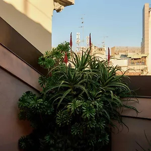 Straf, Milan, A Member Of Design Milano